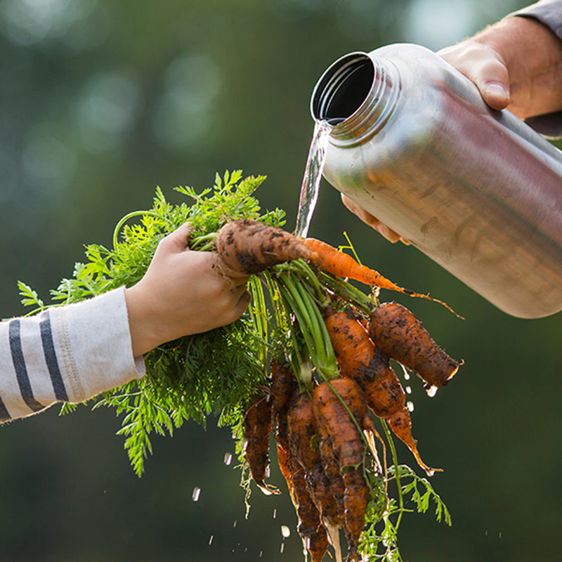 64oz-wide-with-loop-cap-b8 64oz_wide_mouth_bottle_carrots_rinse_square.jpg