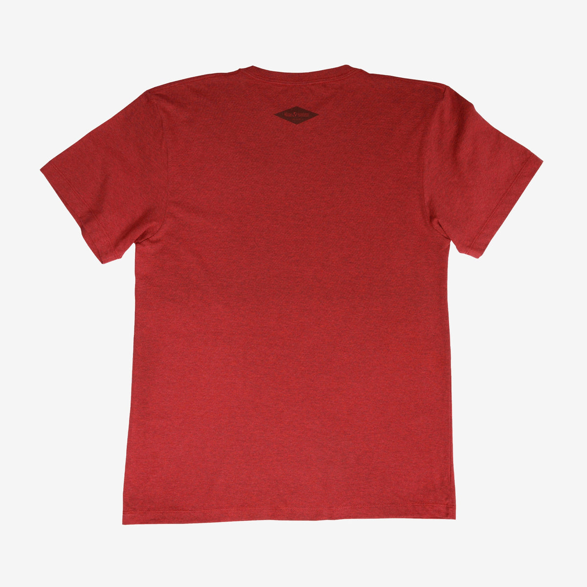 backyard-t-shirt-y7 Shirt_Mtn_Back.jpg